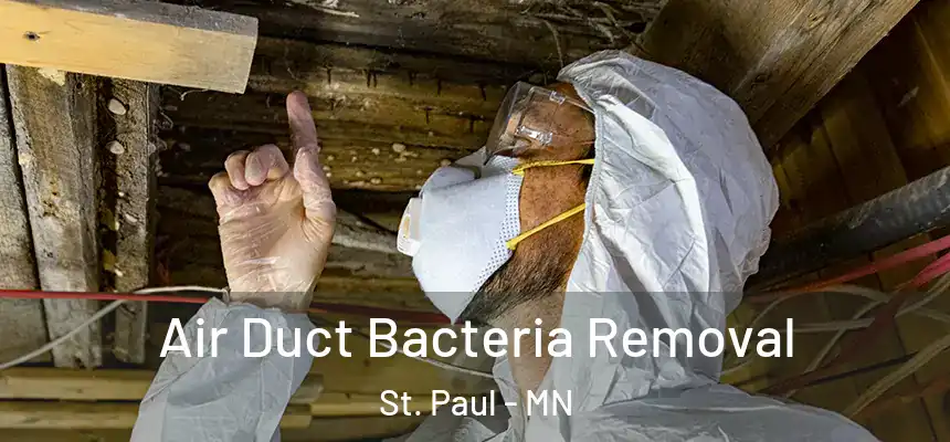 Air Duct Bacteria Removal St. Paul - MN