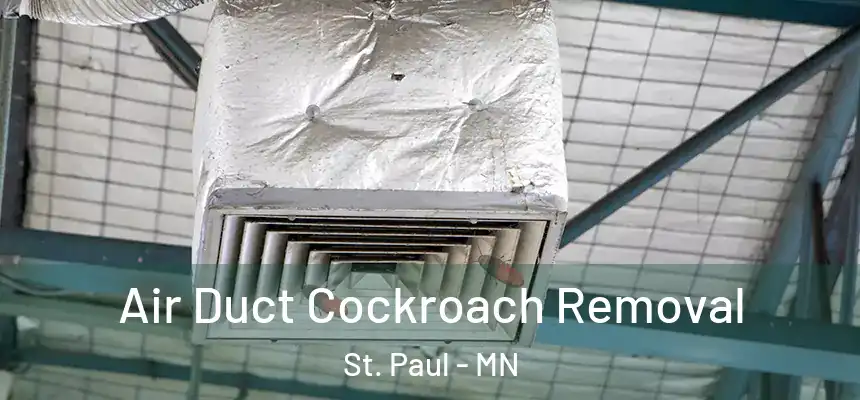 Air Duct Cockroach Removal St. Paul - MN