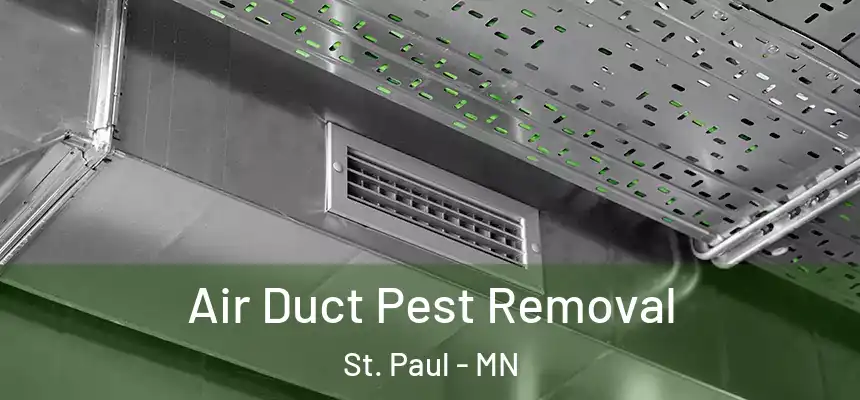 Air Duct Pest Removal St. Paul - MN