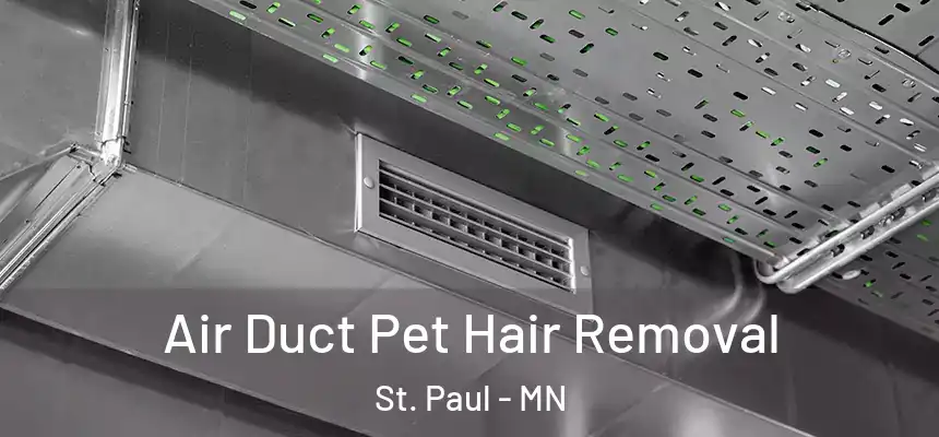Air Duct Pet Hair Removal St. Paul - MN