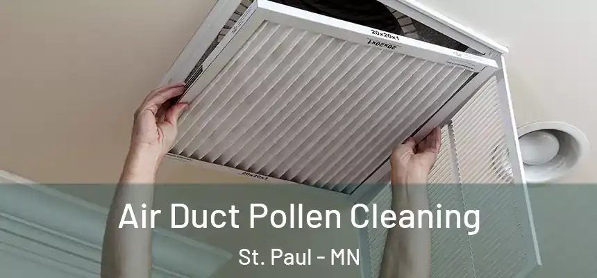 Air Duct Pollen Cleaning St. Paul - MN