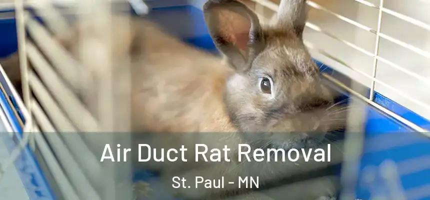 Air Duct Rat Removal St. Paul - MN