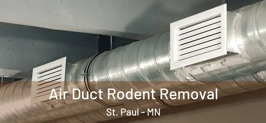 Air Duct Rodent Removal St. Paul - MN