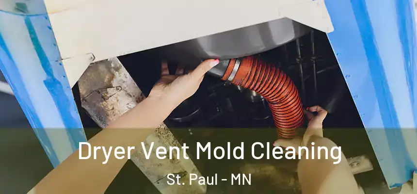 Dryer Vent Mold Cleaning St. Paul - MN