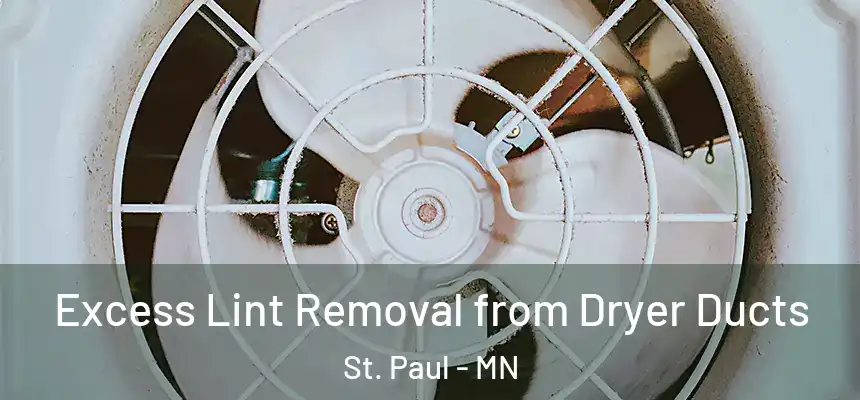 Excess Lint Removal from Dryer Ducts St. Paul - MN