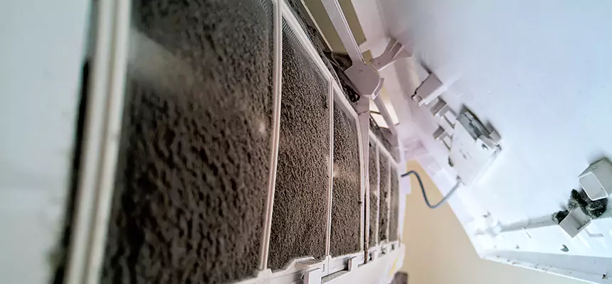 Preventive Air Duct Bacteria Removal in St. Paul