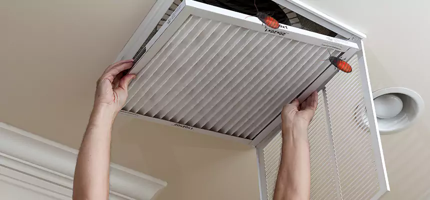 Preventive Cockroach-Proofing for Ducts in St. Paul