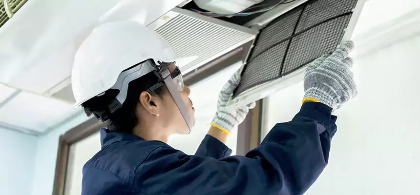 Our Mold & Mildew Removal from Air Ducts Services in St. Paul, MN