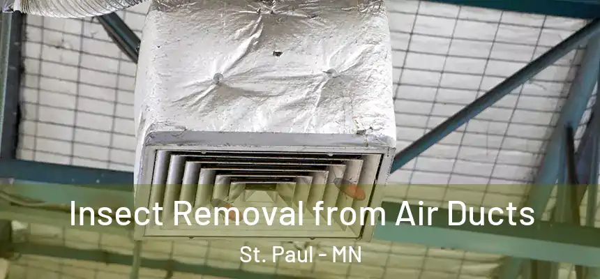 Insect Removal from Air Ducts St. Paul - MN