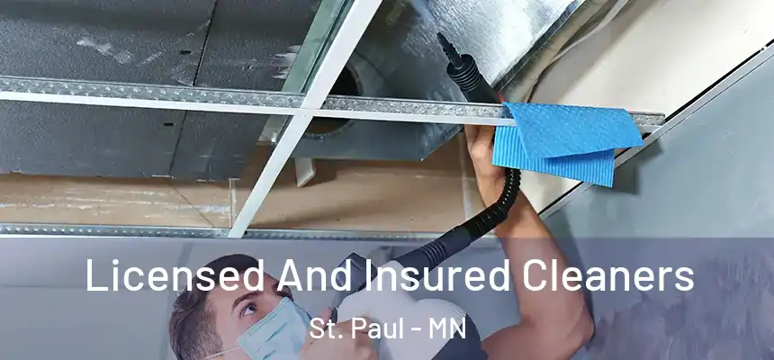 Licensed And Insured Cleaners St. Paul - MN