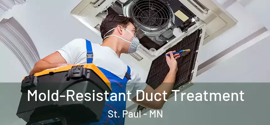 Mold-Resistant Duct Treatment St. Paul - MN
