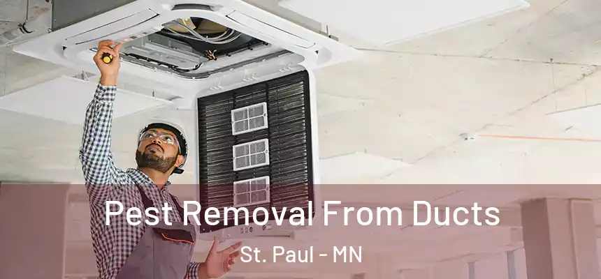 Pest Removal From Ducts St. Paul - MN