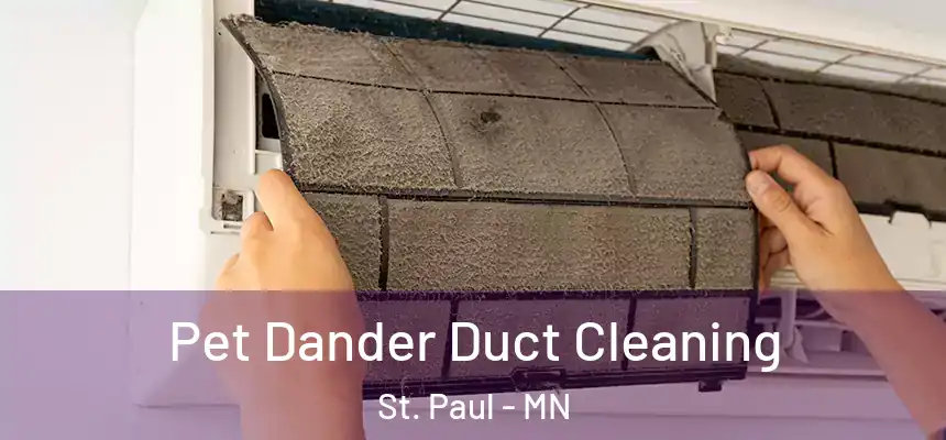 Pet Dander Duct Cleaning St. Paul - MN