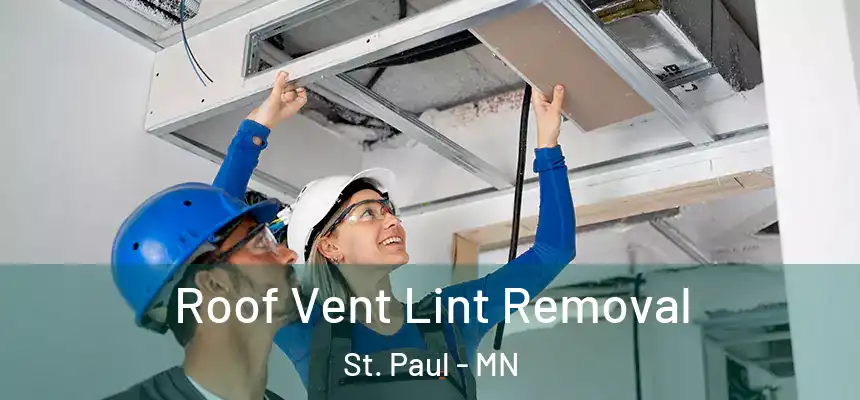 Roof Vent Lint Removal St. Paul - MN
