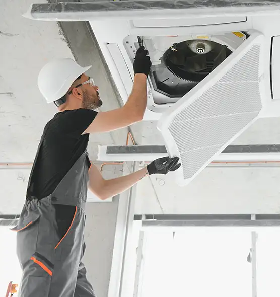 About Air Duct Rodent Removal in St. Paul, MN