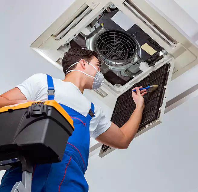 Why Homeowners & Businesses Trust Us in St. Paul, MN