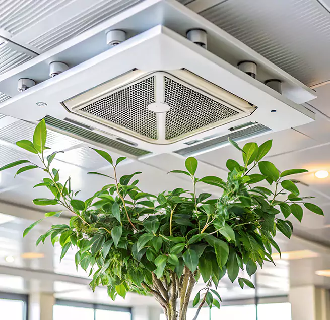 Why Homeowners & Businesses Trust Us in St. Paul, MN