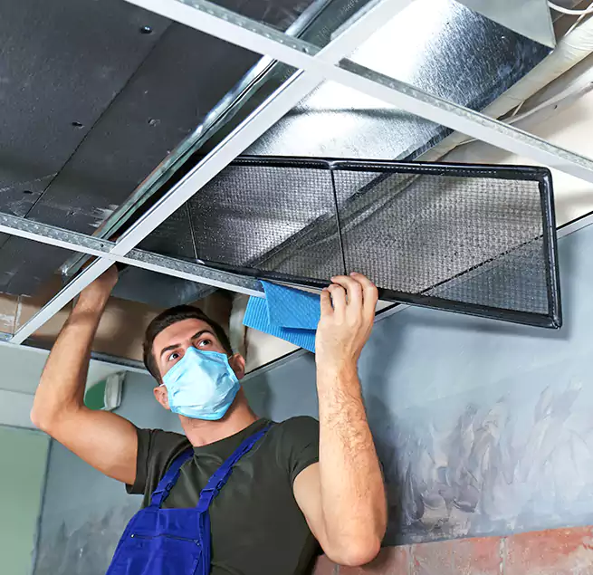 Why Homeowners Businesses Trust Us in St. Paul, MN